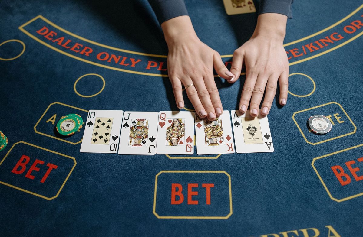 Greyhound Bet Welcome Bonus