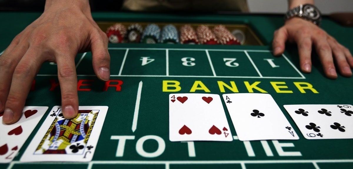 Greyhound Bet Live Casino