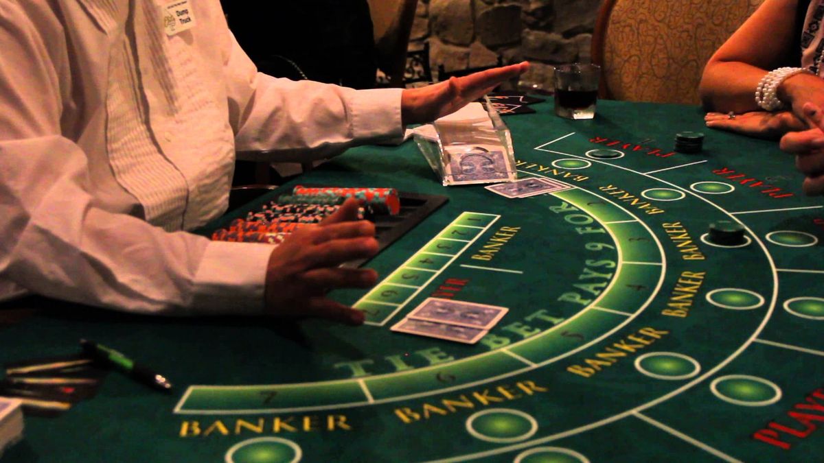 Greyhound Bet Live Betting